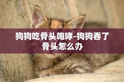 狗狗吃骨頭咆哮-狗狗吞了骨頭怎么辦