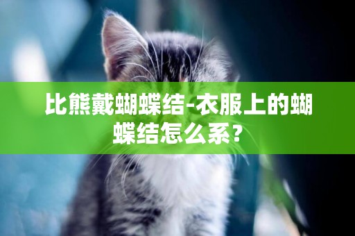 比熊戴蝴蝶結-衣服上的蝴蝶結怎么系？