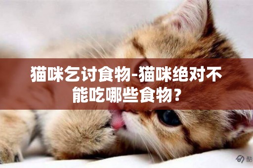 貓咪乞討食物-貓咪絕對不能吃哪些食物？