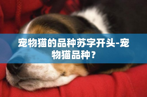 寵物貓的品種蘇字開頭-寵物貓品種？