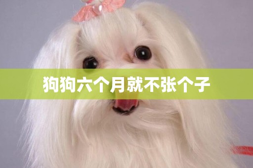 狗狗六個月就不張個子