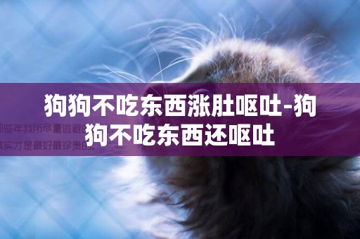 狗狗不吃東西漲肚嘔吐-狗狗不吃東西還嘔吐