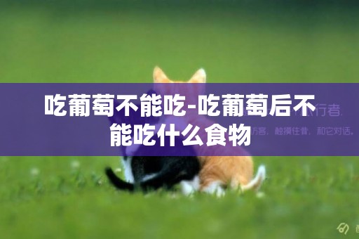 吃葡萄不能吃-吃葡萄后不能吃什么食物