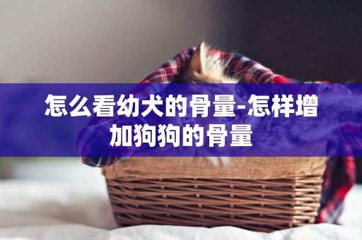 怎么看幼犬的骨量-怎樣增加狗狗的骨量