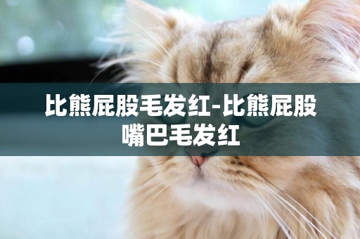 比熊屁股毛發紅-比熊屁股嘴巴毛發紅