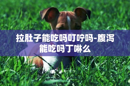 拉肚子能吃嗎叮嚀嗎-腹瀉能吃嗎丁啉么