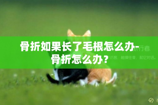 骨折如果長了毛根怎么辦-骨折怎么辦？