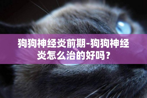 狗狗神經炎前期-狗狗神經炎怎么治的好嗎？