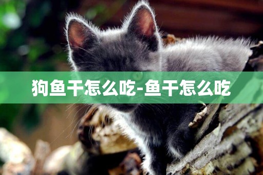 狗魚干怎么吃-魚干怎么吃