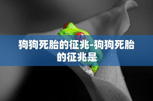 狗狗死胎的征兆-狗狗死胎的征兆是