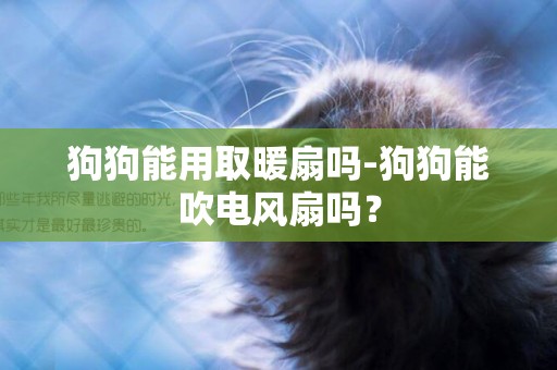 狗狗能用取暖扇嗎-狗狗能吹電風扇嗎？
