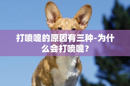打噴嚏的原因有三種-為什么會打噴嚏？