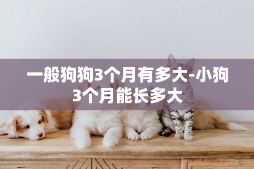 一般狗狗3個月有多大-小狗3個月能長多大