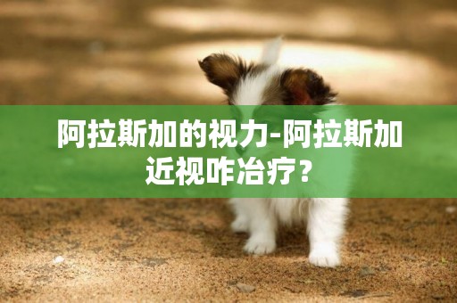 阿拉斯加的視力-阿拉斯加近視咋冶療？