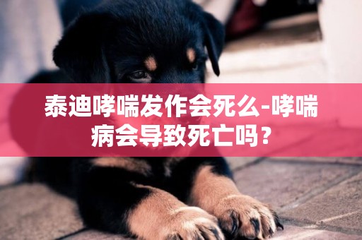 泰迪哮喘發作會死么-哮喘病會導致死亡嗎？