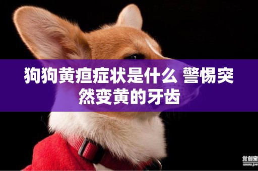 狗狗黃疸癥狀是什么 警惕突然變黃的牙齒