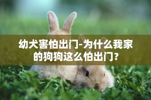 幼犬害怕出門-為什么我家的狗狗這么怕出門？