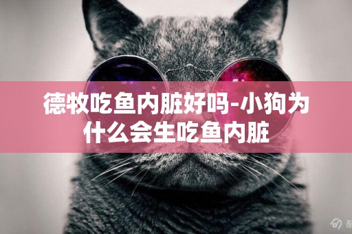 德牧吃魚內臟好嗎-小狗為什么會生吃魚內臟