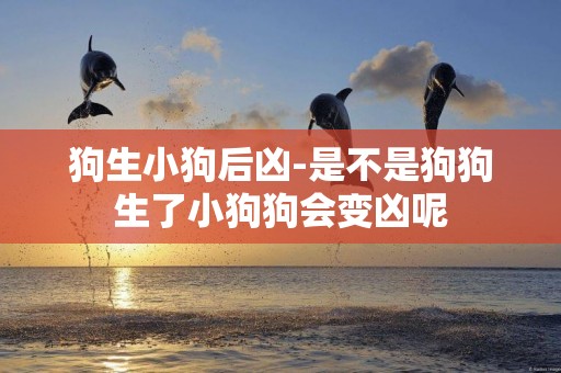 狗生小狗后兇-是不是狗狗生了小狗狗會變兇呢