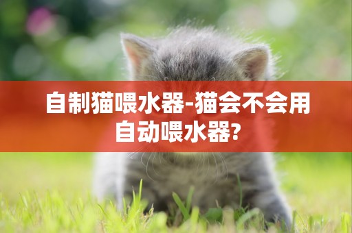 自制貓喂水器-貓會不會用自動喂水器?