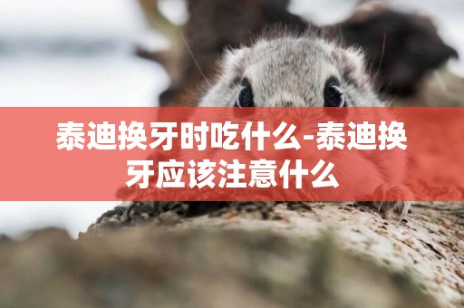 泰迪換牙時吃什么-泰迪換牙應該注意什么