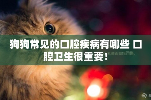 狗狗常見的口腔疾病有哪些 口腔衛生很重要！
