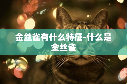 金絲雀有什么特征-什么是金絲雀