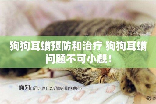 狗狗耳螨預防和治療 狗狗耳螨問題不可小覷！