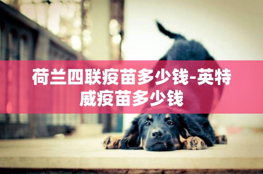 荷蘭四聯疫苗多少錢-英特威疫苗多少錢