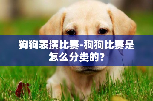 狗狗表演比賽-狗狗比賽是怎么分類的？