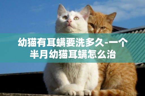 幼貓有耳螨要洗多久-一個半月幼貓耳螨怎么治