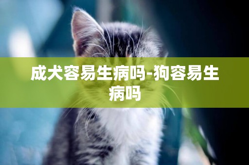 成犬容易生病嗎-狗容易生病嗎