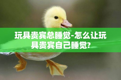 玩具貴賓總睡覺-怎么讓玩具貴賓自己睡覺?