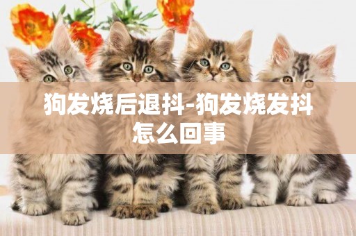 狗發燒后退抖-狗發燒發抖怎么回事
