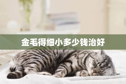 金毛得細小多少錢治好