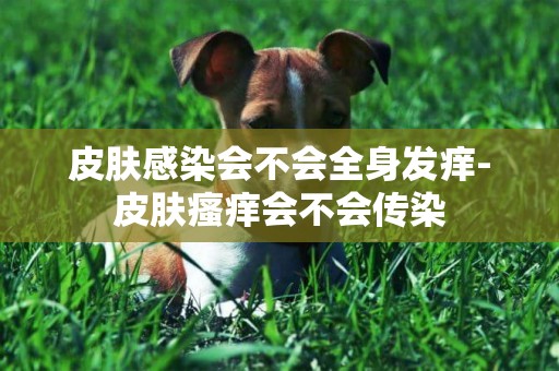 皮膚感染會不會全身發癢-皮膚瘙癢會不會傳染