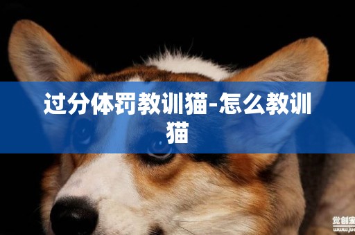 過分體罰教訓貓-怎么教訓貓
