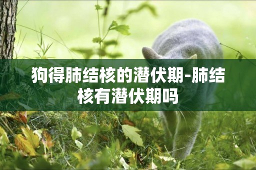 狗得肺結核的潛伏期-肺結核有潛伏期嗎