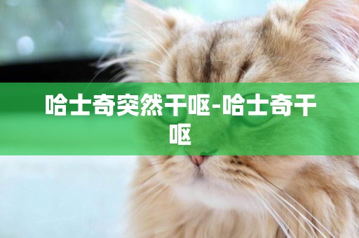 哈士奇突然干嘔-哈士奇干嘔