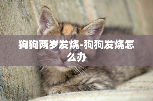 狗狗兩歲發燒-狗狗發燒怎么辦