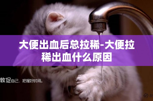 大便出血后總拉稀-大便拉稀出血什么原因