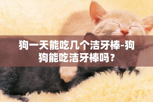 狗一天能吃幾個潔牙棒-狗狗能吃潔牙棒嗎？