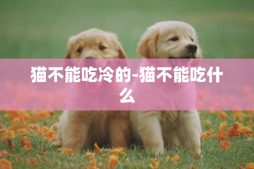 貓不能吃冷的-貓不能吃什么