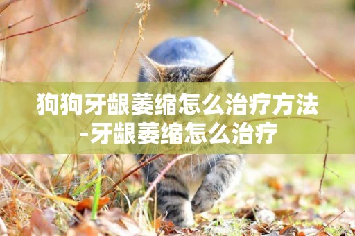 狗狗牙齦萎縮怎么治療方法-牙齦萎縮怎么治療