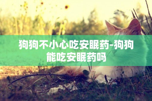 狗狗不小心吃安眠藥-狗狗能吃安眠藥嗎