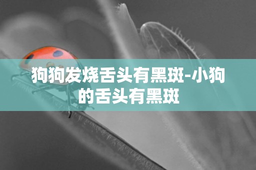 狗狗發燒舌頭有黑斑-小狗的舌頭有黑斑