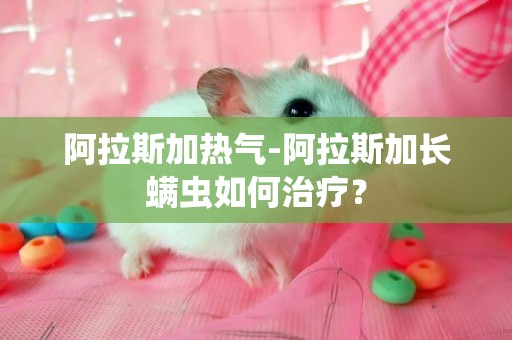 阿拉斯加熱氣-阿拉斯加長螨蟲如何治療？
