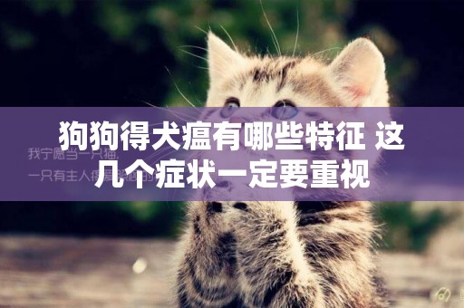 狗狗得犬瘟有哪些特征 這幾個癥狀一定要重視