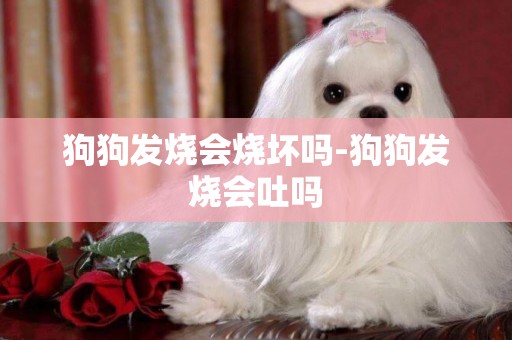 狗狗發燒會燒壞嗎-狗狗發燒會吐嗎