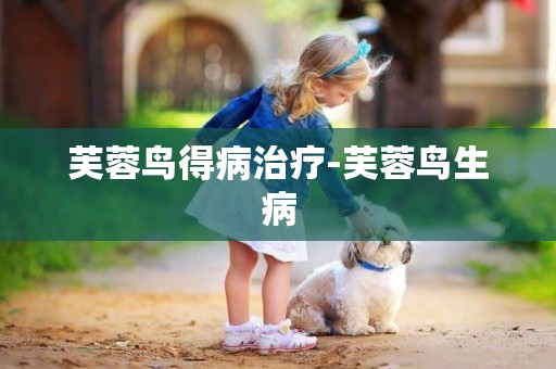 芙蓉鳥得病治療-芙蓉鳥生病